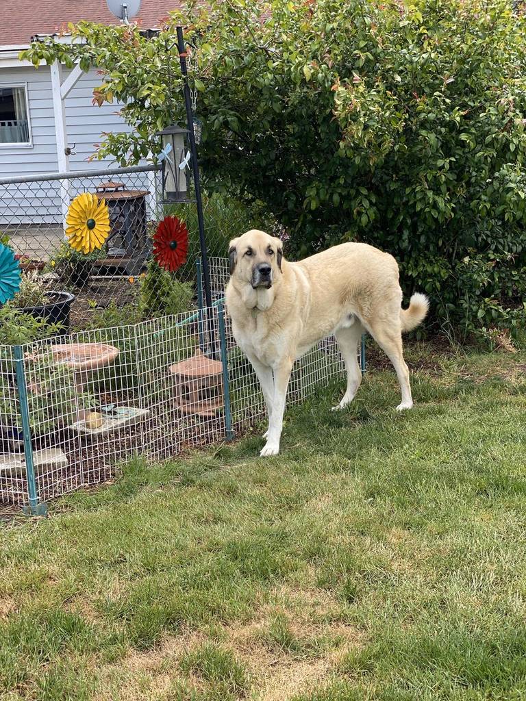 jellybeanfeelingcute